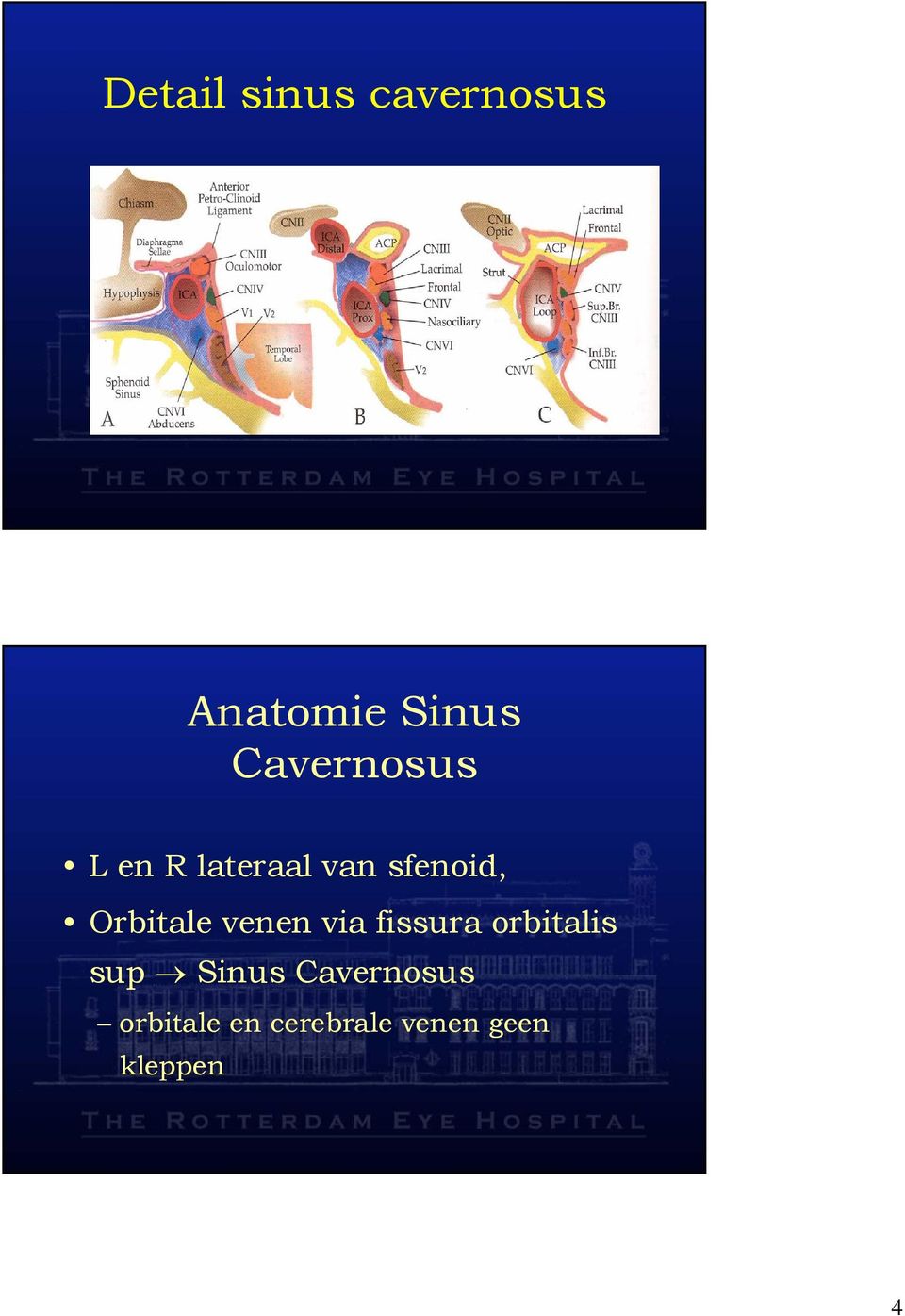 Orbitale venen via fissura orbitalis sup