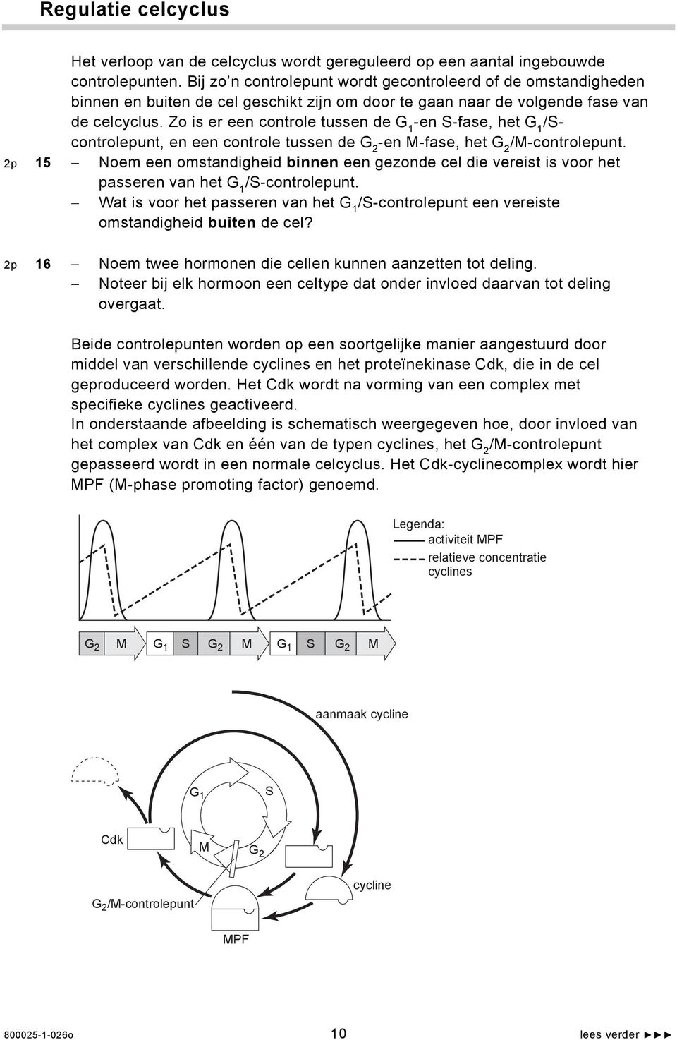 Zo is er een controle tussen de G 1 -en S-fase, het G 1 /Scontrolepunt, en een controle tussen de G 2 -en M-fase, het G 2 /M-controlepunt.