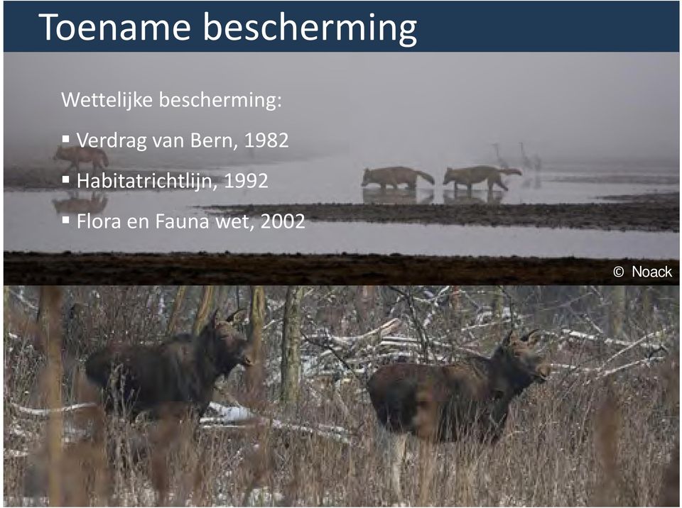 Toename bescherming Wettelijke bescherming: