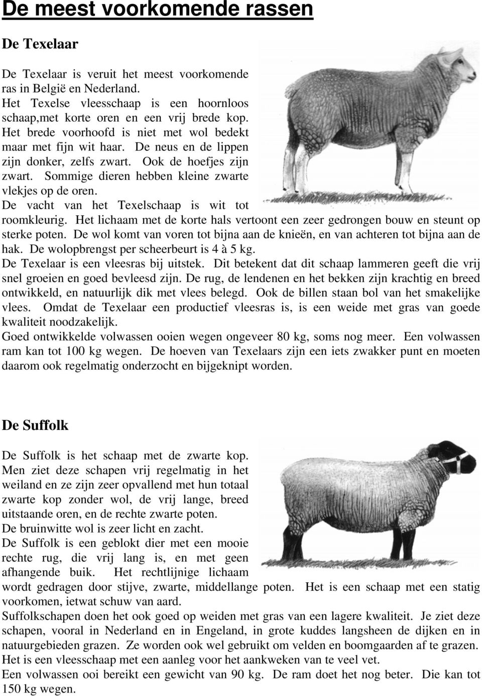 De vacht van het Texelschaap is wit tot roomkleurig. Het lichaam met de korte hals vertoont een zeer gedrongen bouw en steunt op sterke poten.
