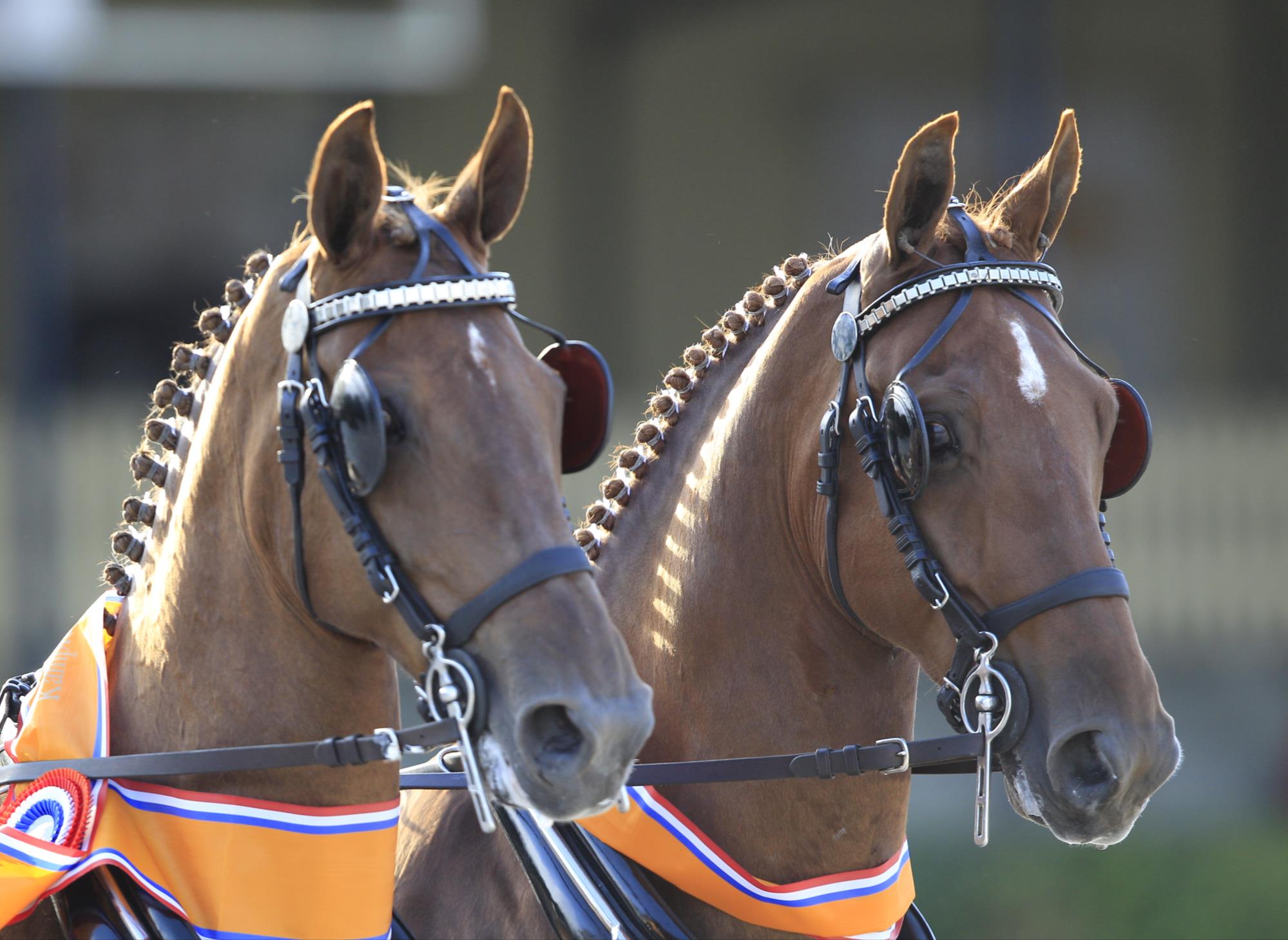 UITGANGSPUNTEN BIJ HERSCHRIJVEN WEDSTRIJDREGLEMENT 1. Toegankelijkheid van de sport vergroten met laagdrempelige instroom 2.