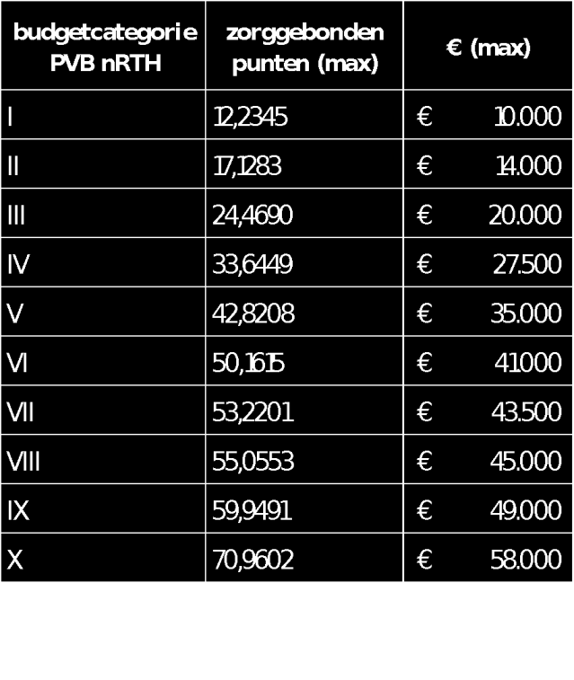 PVF trap 2 N-RTH Terbeschikkingstelling 12 budgetcategorieën: middelen om ondersteuning te betalen in