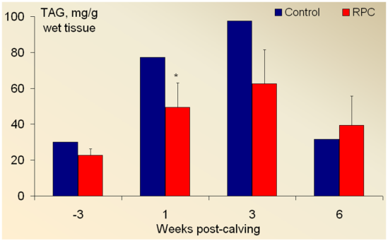 Choline en vetstofwisseling neurotransmitter acetylcholine homocysteine CHOLINE betaine phosphatidylcholine methionine S-adenosylmethionine Phospholipids cell membranes, VLDL methylation (-CH 3 )