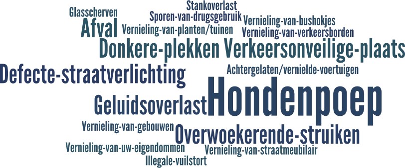 Resultaten Buurtproblemen Ja Nee 2% 9% Ja Nee Weet niet 44% 56% 89% Heeft u wel eens actie ondernomen ter verbetering van deze 3 prioriteiten of richting de overlastgevers?