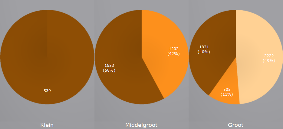 10.2.2 Per bedrijfsgrootte Figuur 59: Verdeling