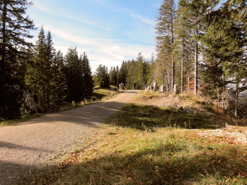 Via de Bärenkopf lopen we verder door weer een prachtig landschap.