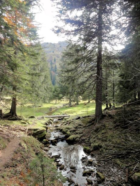 . dan weer liefelijke weiden, water, modder en bos. Als we bij het dalstation van de Mittagbahn arriveren staan onze fietsen nog keurig op ons te wachten.