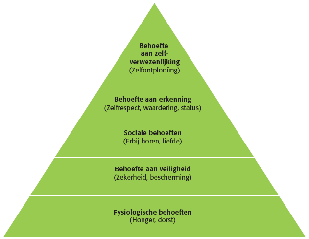 Persoonlijke factoren zoals beroep, economische situatie, levensstijl (leefpatroon, interesses en meningen), persoonlijkheid en zelfbeeld.