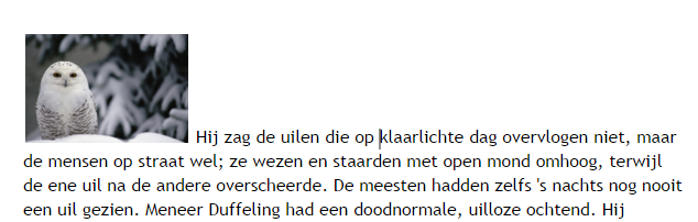 Opdracht: Afbeeldingen van het Internet plaatsen in je tekst Je gaat zelf een afbeelding op het Internet zoeken en deze in de tekst plaatsen. Open met je browser de pagina: www.google.