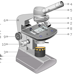 Werken met de microscoop kn.nu/8fi2u 1 Hoe heet het afgebeelde onderdeel van de microscoop? a. revolver b. oculair c.