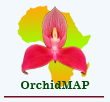 I N H O U D OrchidMAP South Africa Een uitgave van P&P Orchids. Niets uit deze publicatie mag op enigerlei wijze worden overgenomen zonder uitdrukkelijke toestemming van de uitgever.