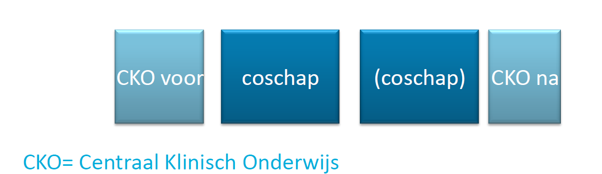 Globaal studieschema geneeskunde Jaar 3 Jaar 2 Jaar 1 Master Geneeskunde Duur 3