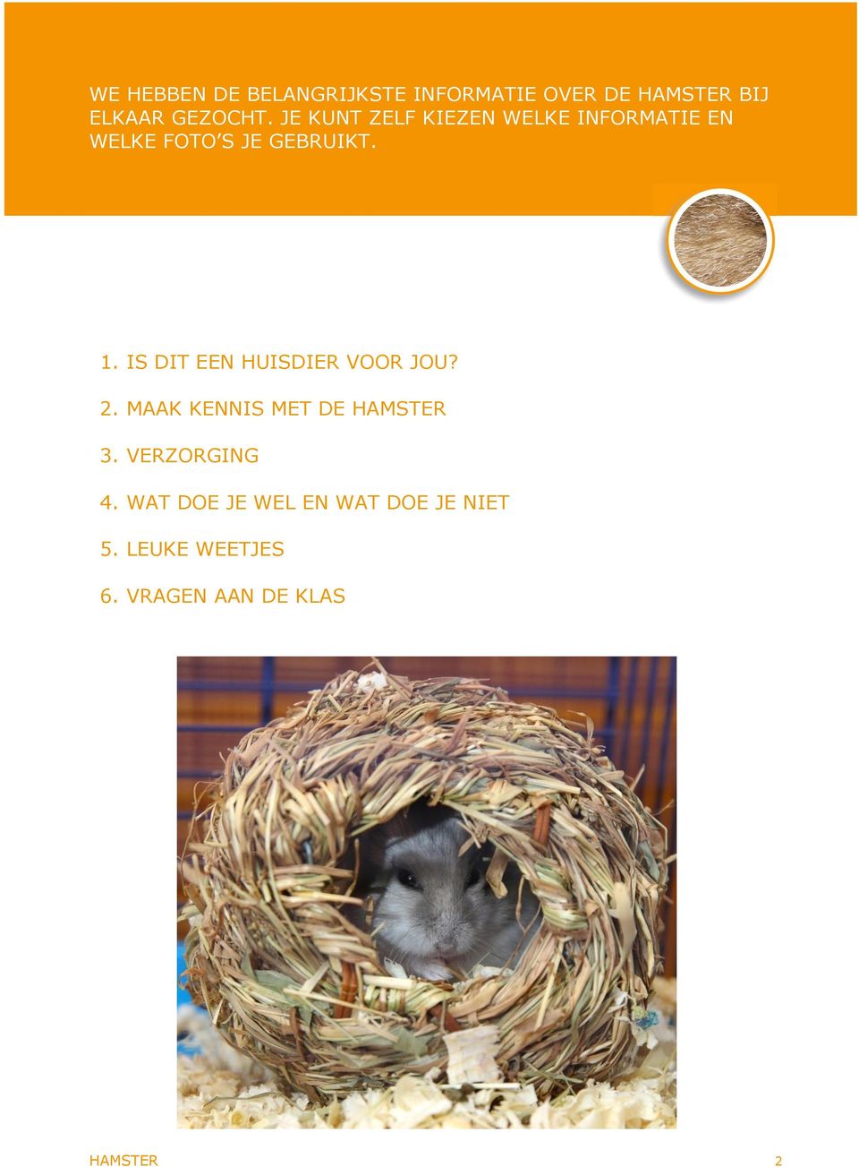 IS DIT EEN HUISDIER VOOR JOU? 2. MAAK KENNIS MET DE HAMSTER 3. VERZORGING 4.