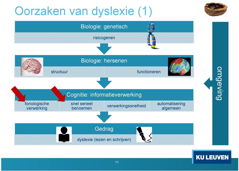 informatieverwerking snel serieel benoemen verwerkingssnelheid