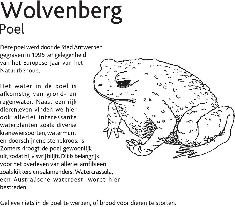 Naast een rijk dierenleven vinden we hier ook allerlei interessante waterplanten zoals diverse kranswiersoorten, watermunt en doorschijnend sterrekroos.