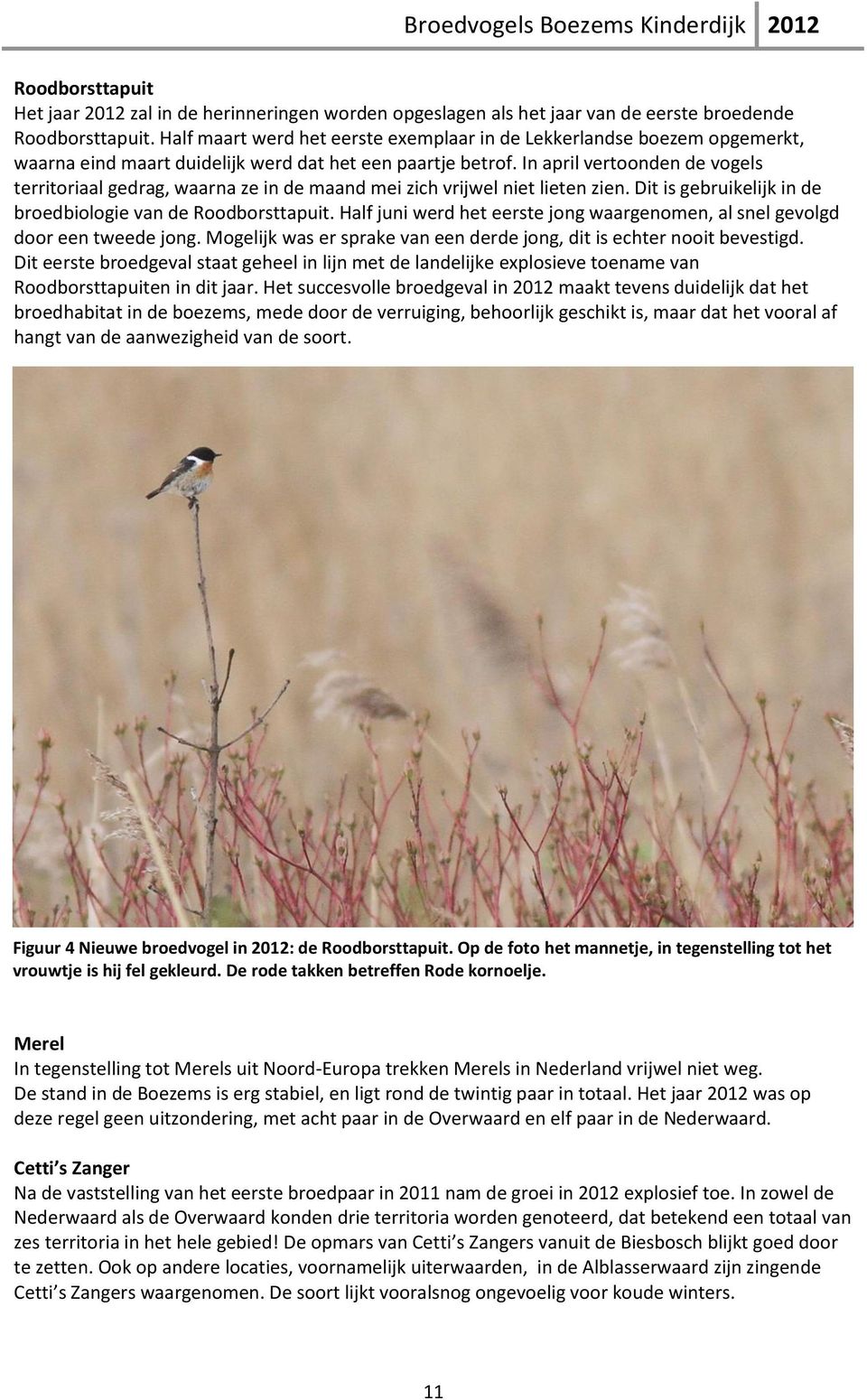 In april vertoonden de vogels territoriaal gedrag, waarna ze in de maand mei zich vrijwel niet lieten zien. Dit is gebruikelijk in de broedbiologie van de Roodborsttapuit.