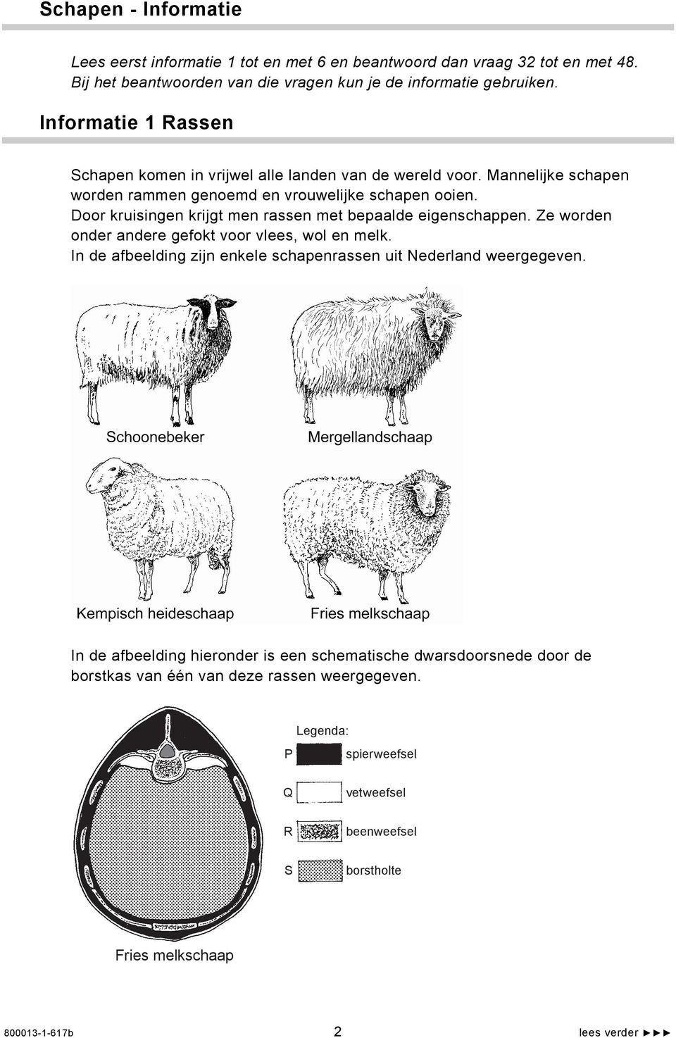 Door kruisingen krijgt men rassen met bepaalde eigenschappen. Ze worden onder andere gefokt voor vlees, wol en melk. In de afbeelding zijn enkele schapenrassen uit Nederland weergegeven.