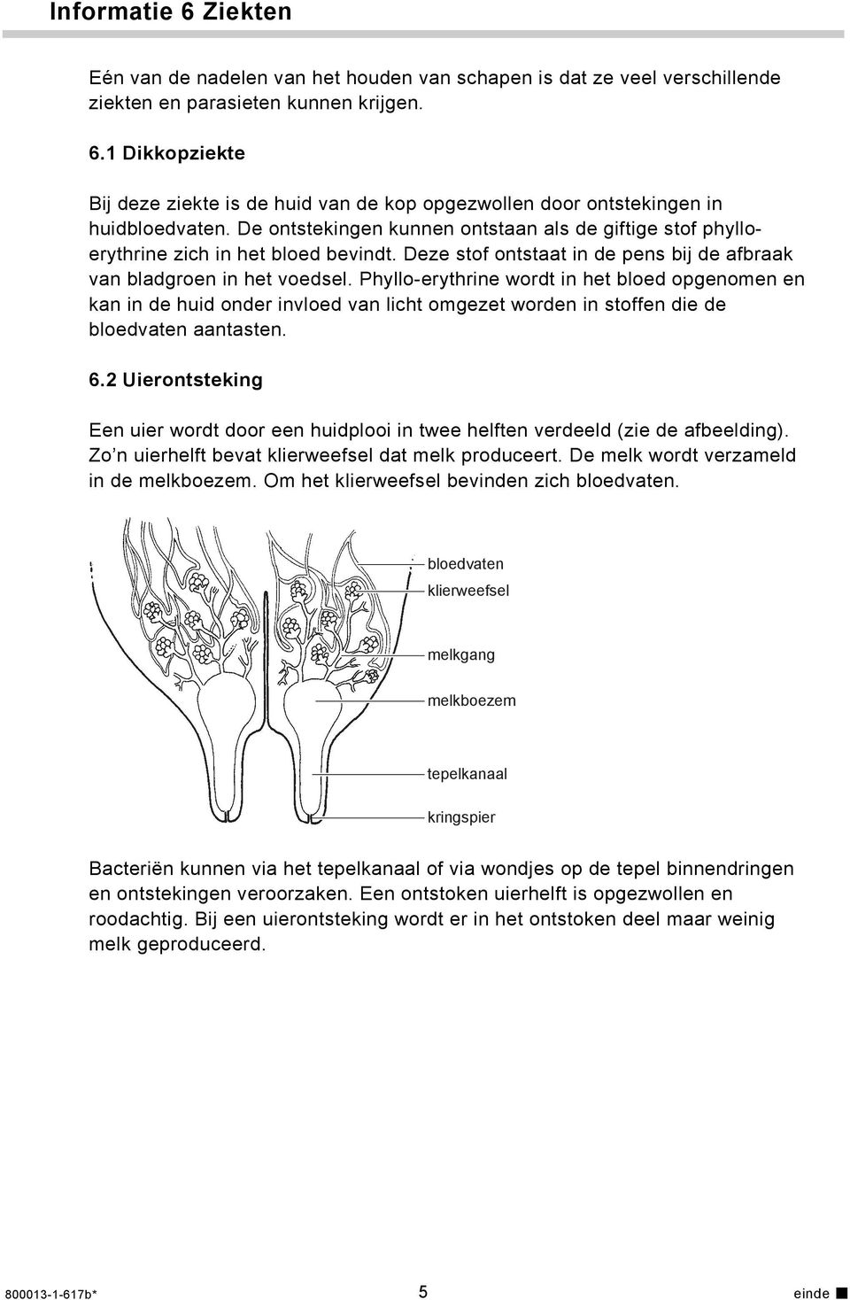 Phyllo-erythrine wordt in het bloed opgenomen en kan in de huid onder invloed van licht omgezet worden in stoffen die de bloedvaten aantasten. 6.