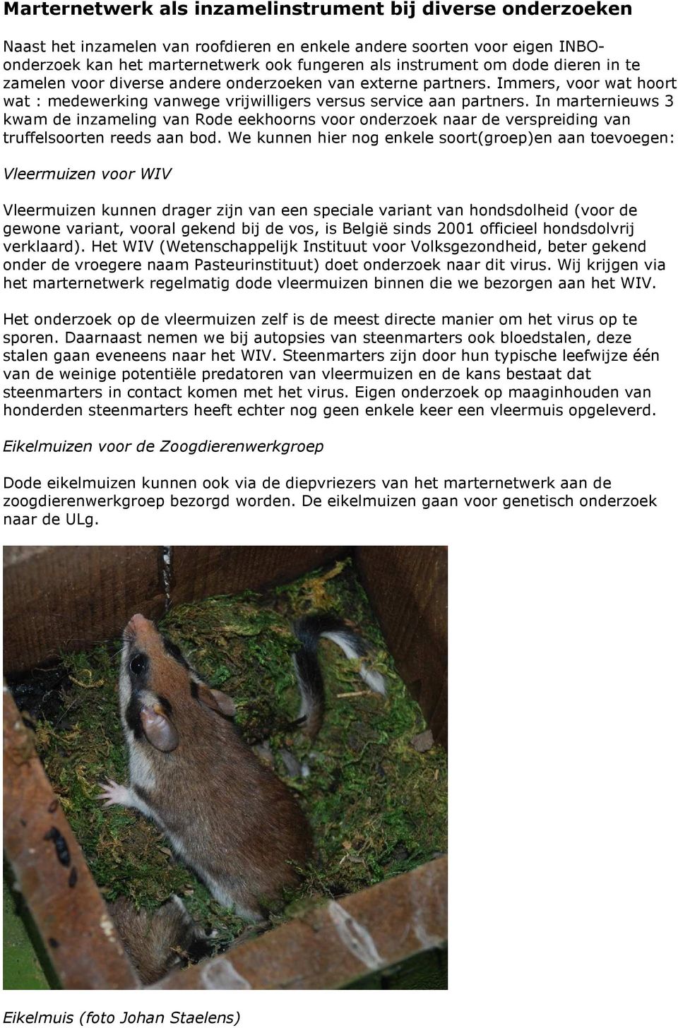 In marternieuws 3 kwam de inzameling van Rode eekhoorns voor onderzoek naar de verspreiding van truffelsoorten reeds aan bod.