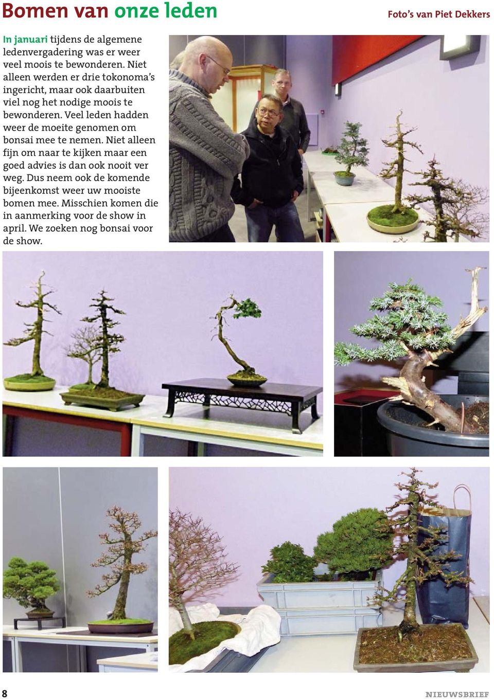 Veel leden hadden weer de moeite genomen om bonsai mee te nemen.