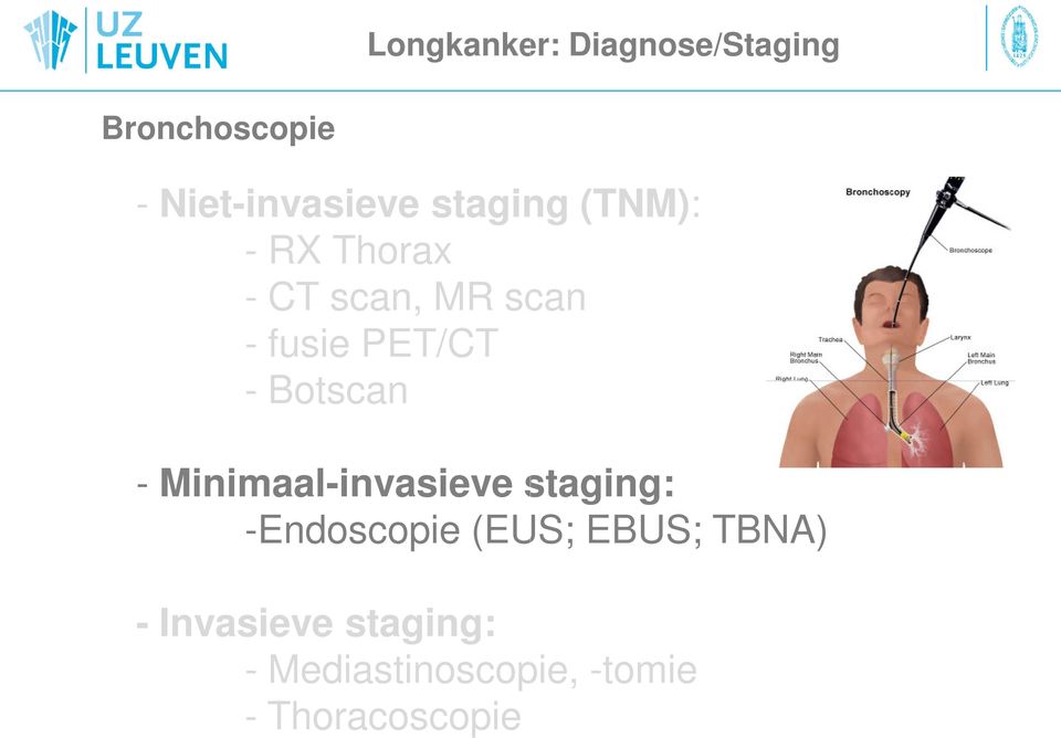 Botscan - Minimaal-invasieve staging: -Endoscopie (EUS; EBUS;