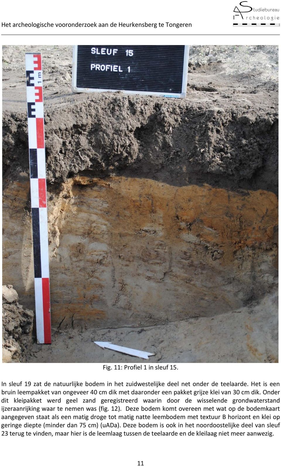 Onder dit kleipakket werd geel zand geregistreerd waarin door de wisselende grondwaterstand ijzeraanrijking waar te nemen was (fig. 12).