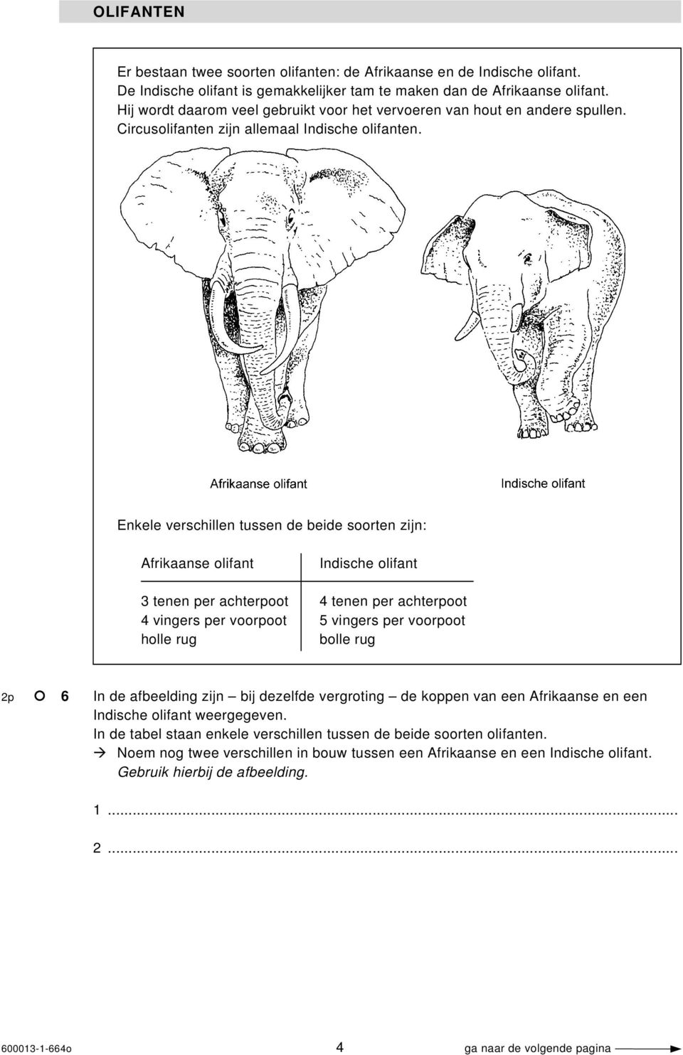 Enkele verschillen tussen de beide soorten zijn: Afrikaanse olifant Indische olifant 3 tenen per achterpoot 4 tenen per achterpoot 4 vingers per voorpoot 5 vingers per voorpoot holle rug bolle rug 2p