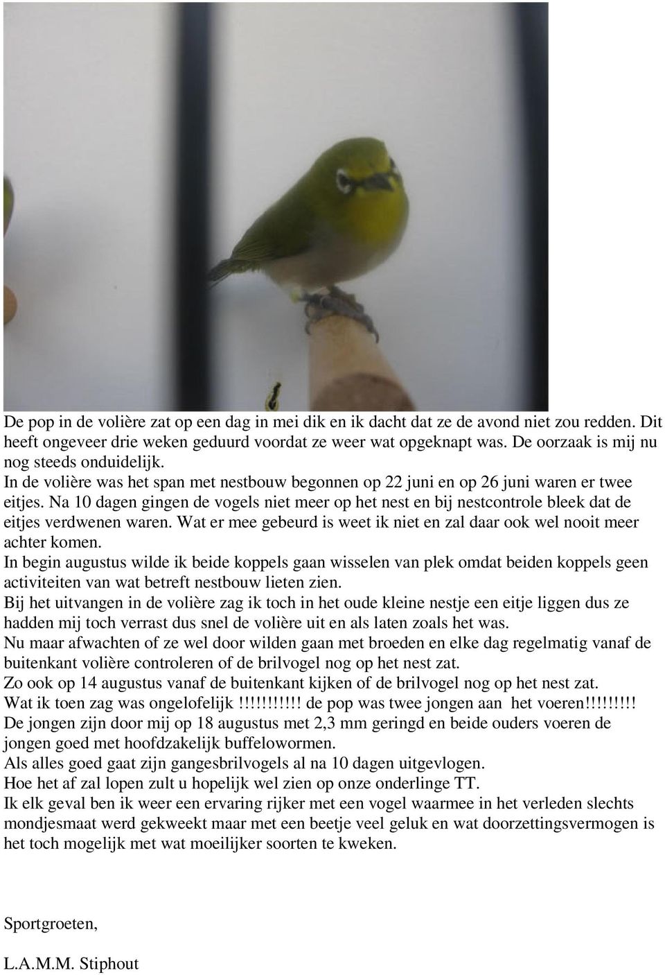 Na 10 dagen gingen de vogels niet meer op het nest en bij nestcontrole bleek dat de eitjes verdwenen waren. Wat er mee gebeurd is weet ik niet en zal daar ook wel nooit meer achter komen.