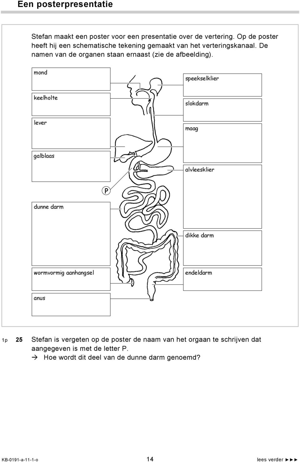 De namen van de organen staan ernaast (zie de afbeelding).