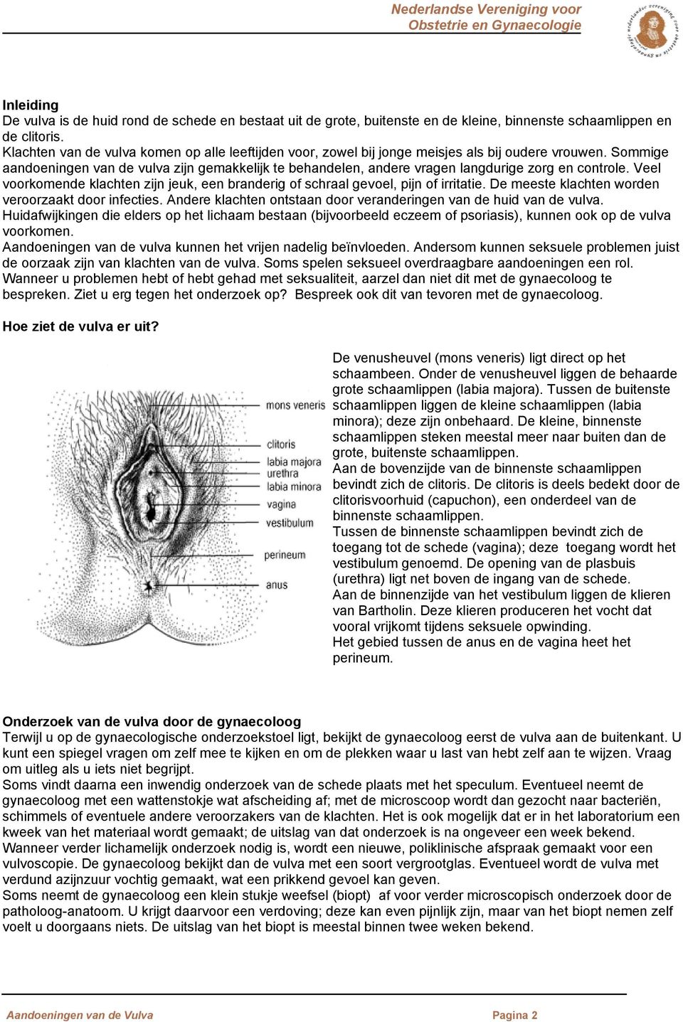 Sommige aandoeningen van de vulva zijn gemakkelijk te behandelen, andere vragen langdurige zorg en controle. Veel voorkomende klachten zijn jeuk, een branderig of schraal gevoel, pijn of irritatie.