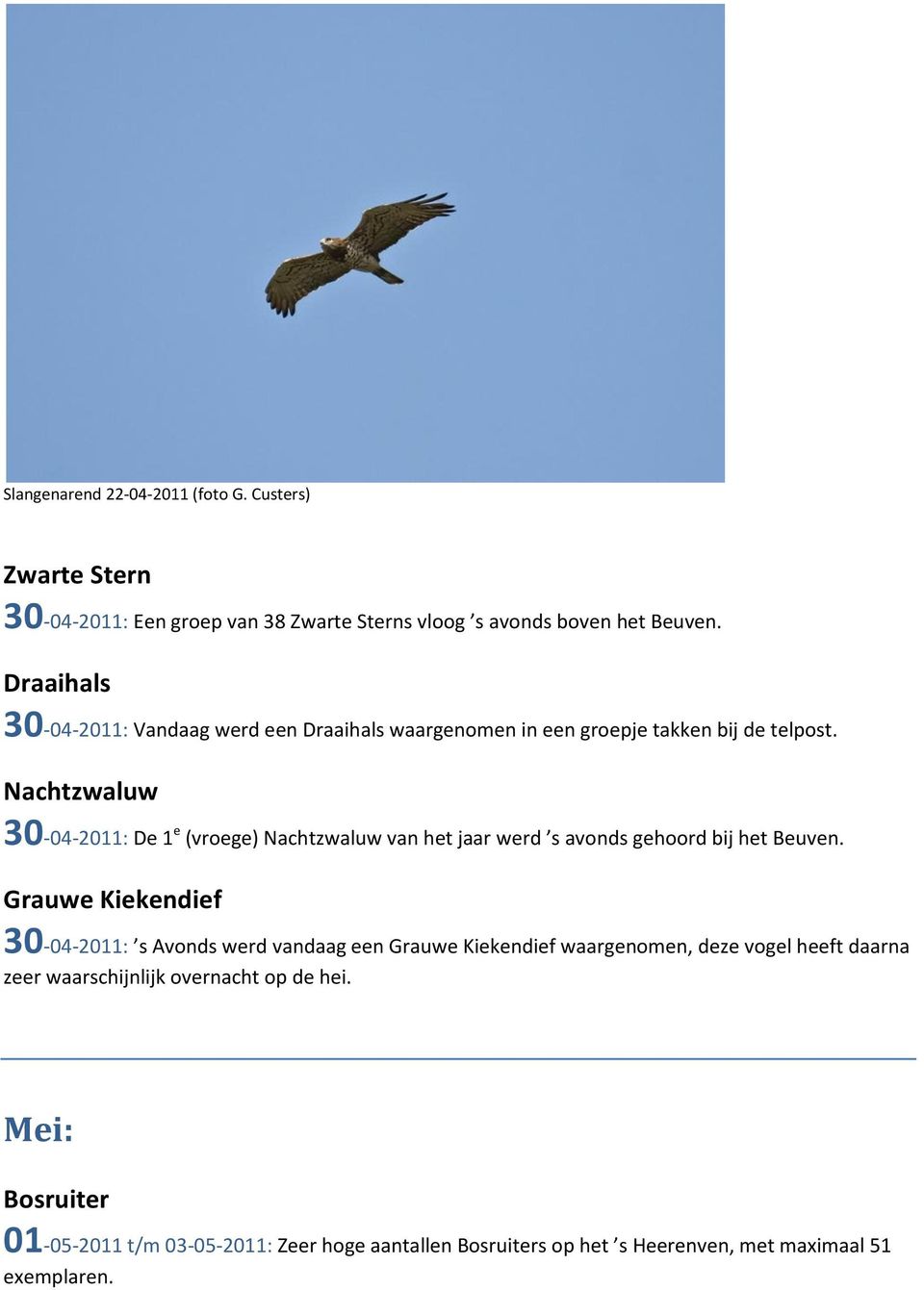 Nachtzwaluw 30-04-2011: De 1 e (vroege) Nachtzwaluw van het jaar werd s avonds gehoord bij het Beuven.