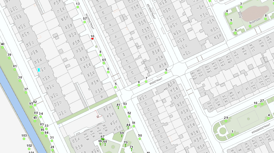 rozenstraat to hsn 55 Japanse kers Prunus