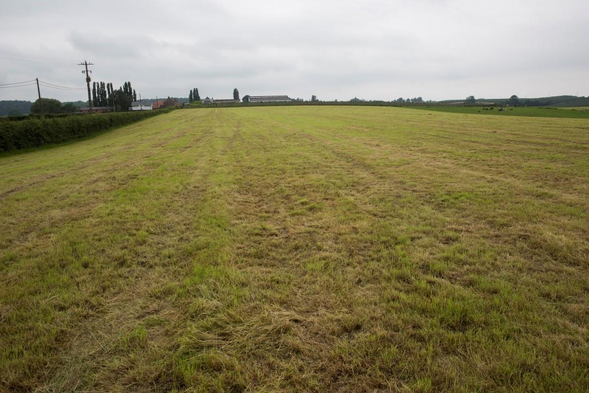 DUISTERWEIDE 3371 In de groene vallei van de Voer kan je een