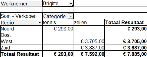 Afbeelding 17: Dialoogvenster met voorkeuren voor rijen of kolommen Normaal gesproken geeft de Draaitabel geen rij of kolom weer voor categorieën die geen items in de onderliggende database hebben.