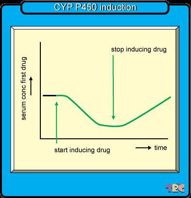 Cytochroom P 450 INHIBITOR INDUCTOR