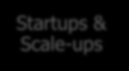 SECTOREN Startups & Scale-ups Professionele dienstverlening