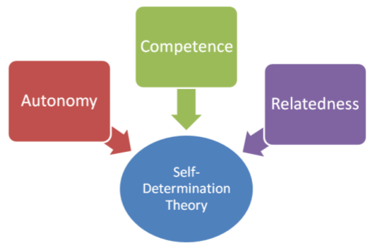 Intrinsieke basis behoeften Autonomie >> keuzevrijheid - vrijwilligheid Competentie