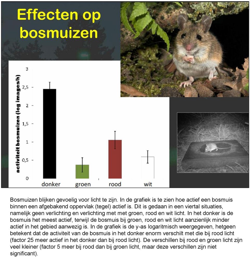 In het donker is de bosmuis het meest actief, terwijl de bosmuis bij groen, rood en wit licht aanzienlijk minder actief in het gebied aanwezig is.