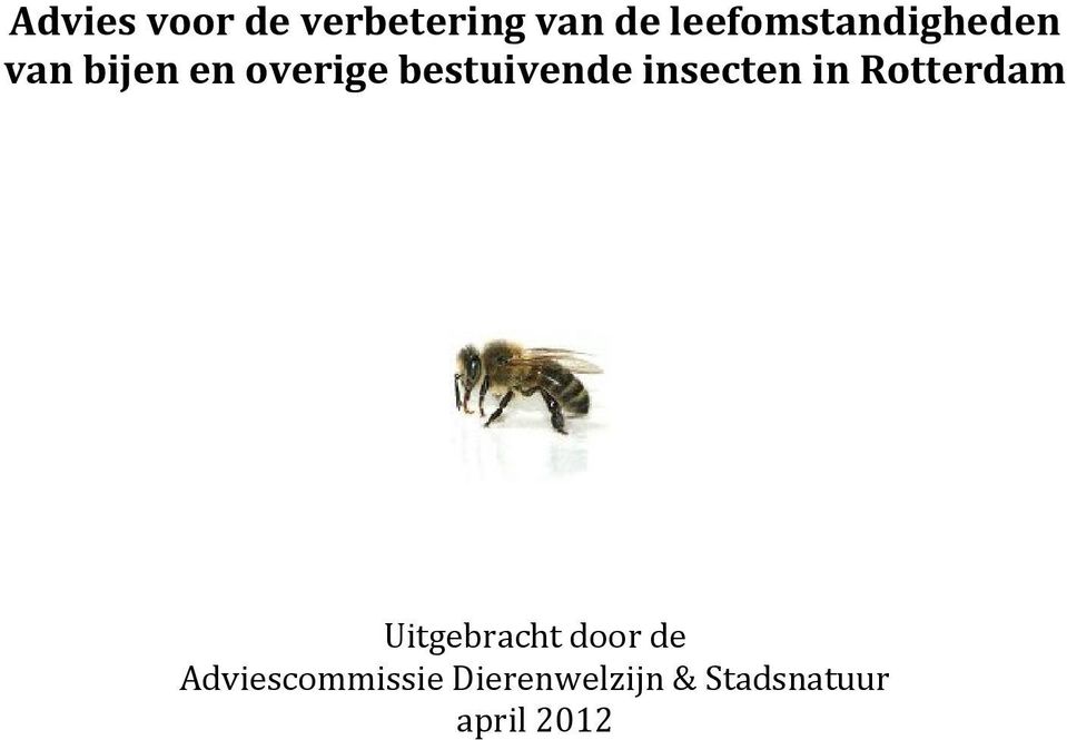 bestuivende insecten in Rotterdam Uitgebracht