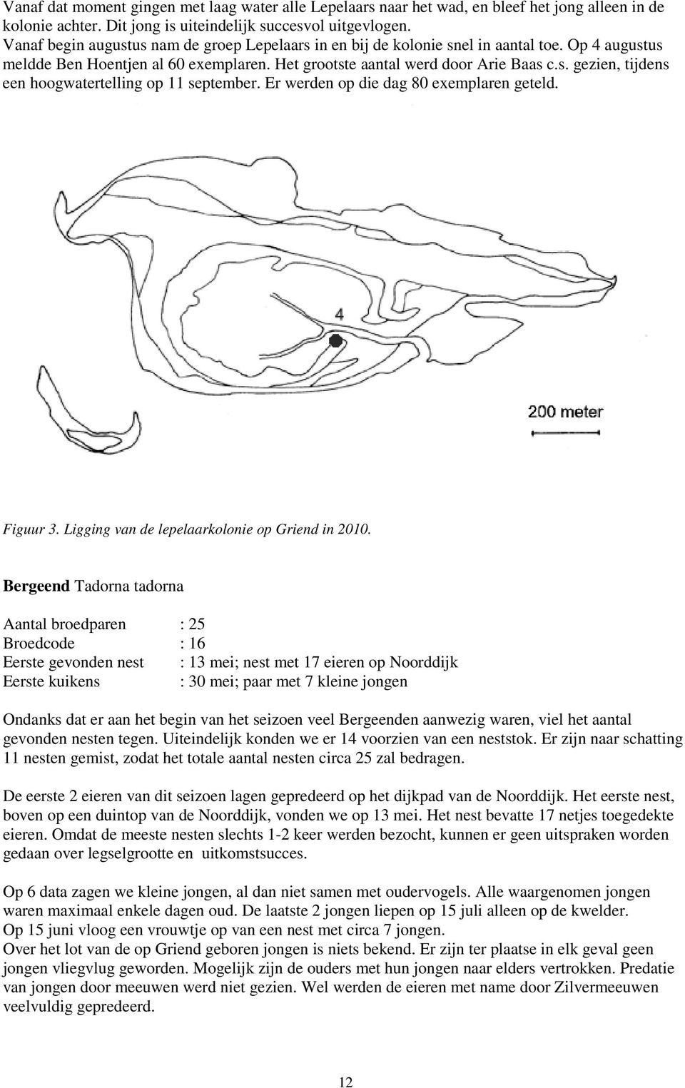 Er werden op die dag 80 exemplaren geteld. Figuur 3. Ligging van de lepelaarkolonie op Griend in 2010.