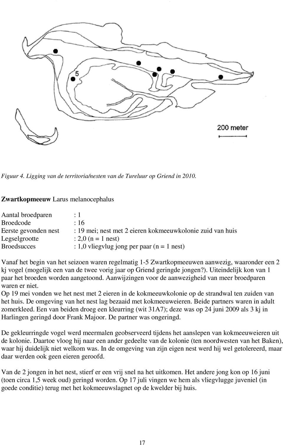 1,0 vliegvlug jong per paar (n = 1 nest) Vanaf het begin van het seizoen waren regelmatig 1-5 Zwartkopmeeuwen aanwezig, waaronder een 2 kj vogel (mogelijk een van de twee vorig jaar op Griend