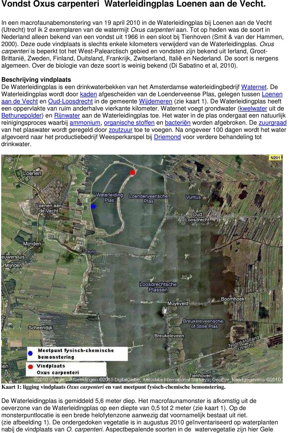 Tot op heden was de soort in Nederland alleen bekend van een vondst uit 1966 in een sloot bij Tienhoven (Smit & van der Hammen, 2000).