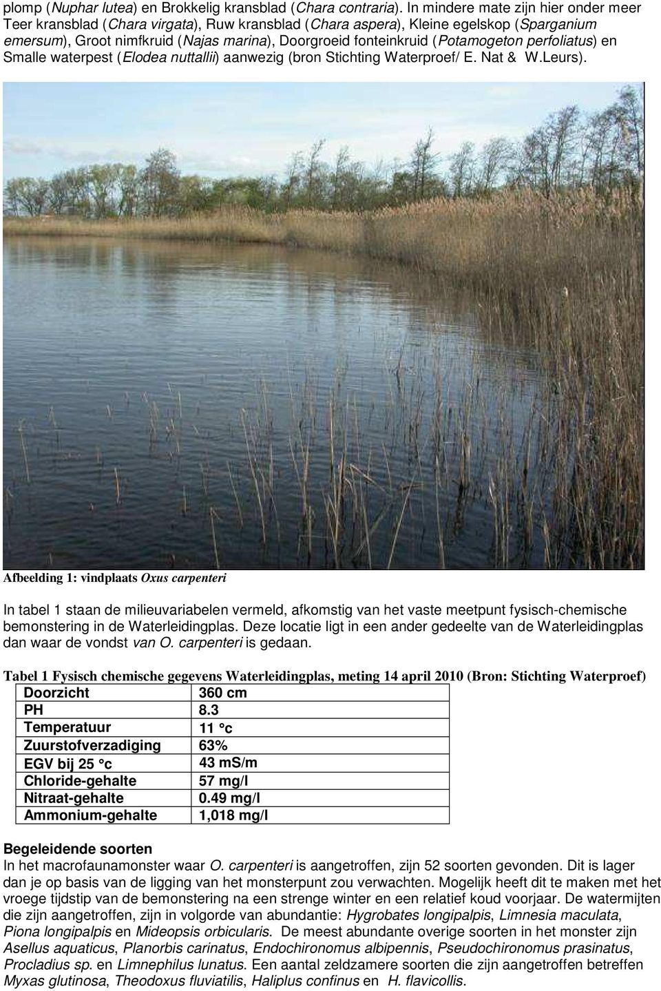 (Potamogeton perfoliatus) en Smalle waterpest (Elodea nuttallii) aanwezig (bron Stichting Waterproef/ E. Nat & W.Leurs).