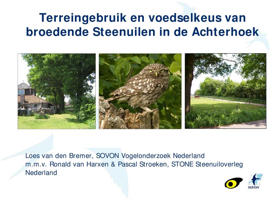 SOVON Vogelonderzoek Nederland m.m.v.