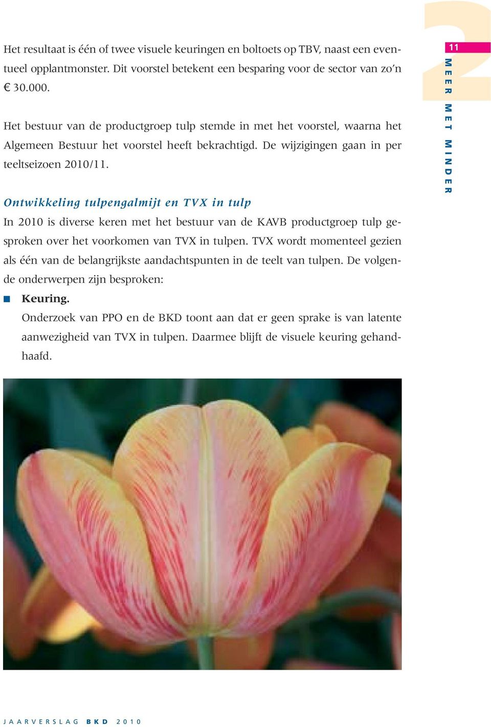 Ontwikkeling tulpengalmijt en TVX in tulp In 2010 is diverse keren met het bestuur van de KAVB productgroep tulp gesproken over het voorkomen van TVX in tulpen.