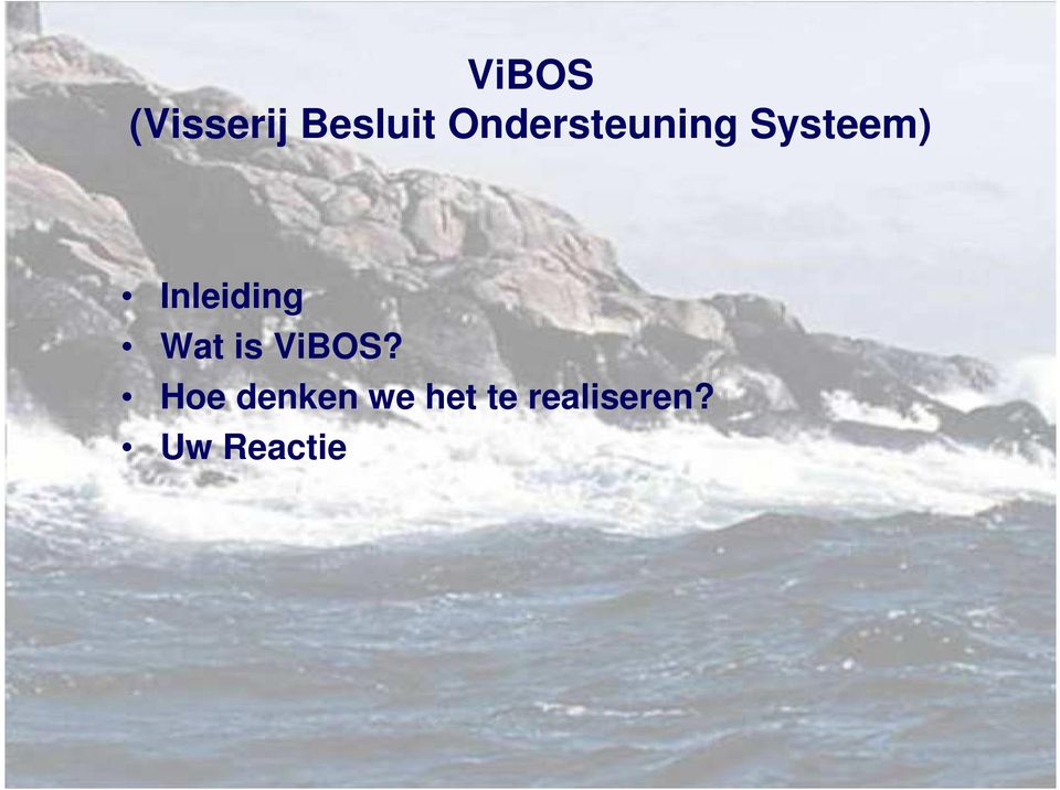 Inleiding Wat is ViBOS?