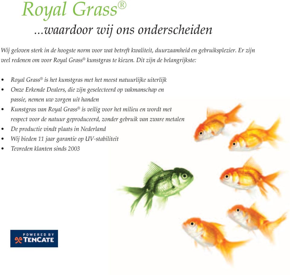 Dit zijn de belangrijkste: Royal Grass is het kunstgras met het meest natuurlijke uiterlijk Onze Erkende Dealers, die zijn geselecteerd op vakmanschap en