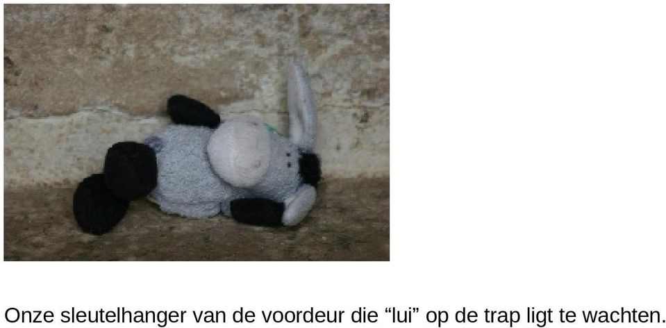 de voordeur die