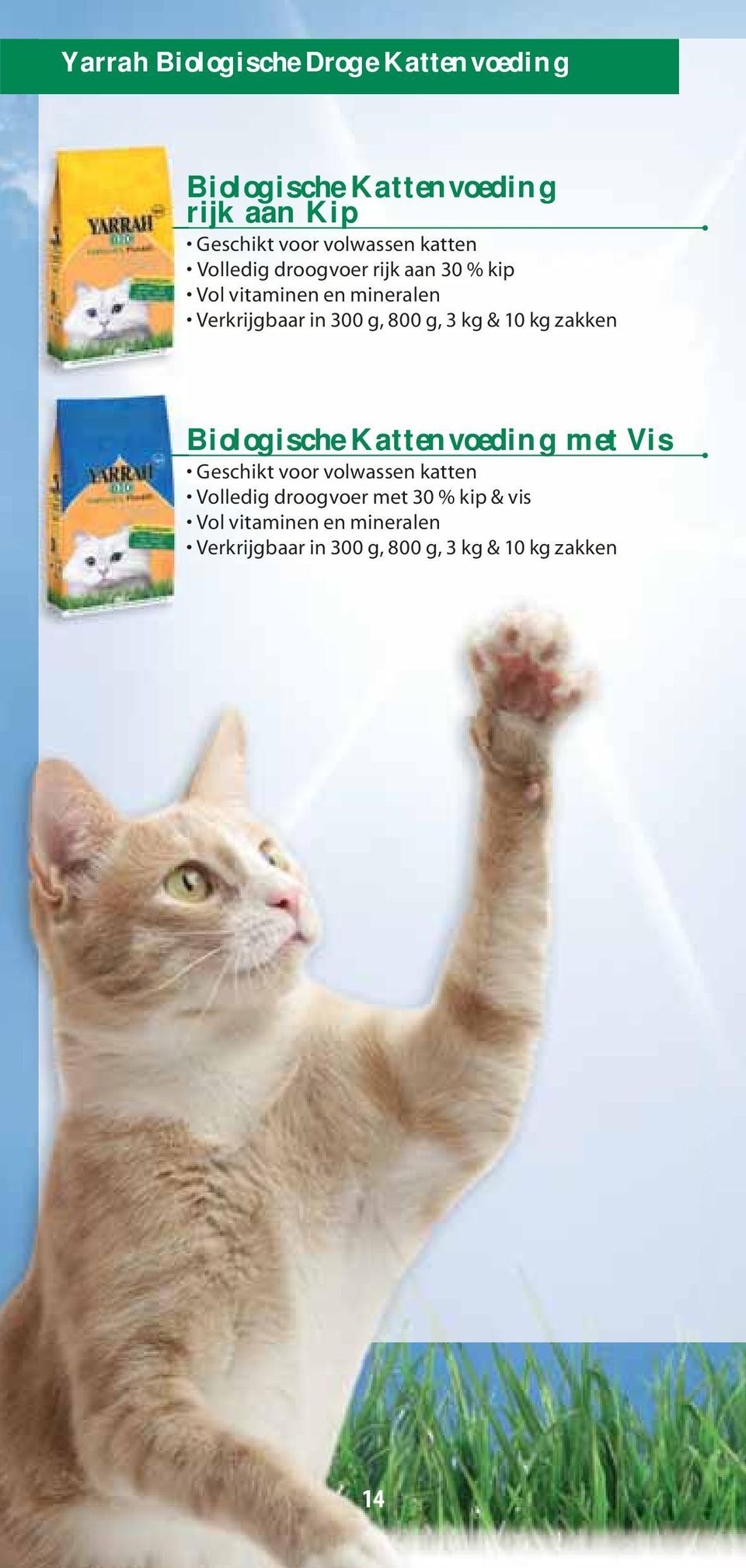 Kattenvoeding rijk aan Kip