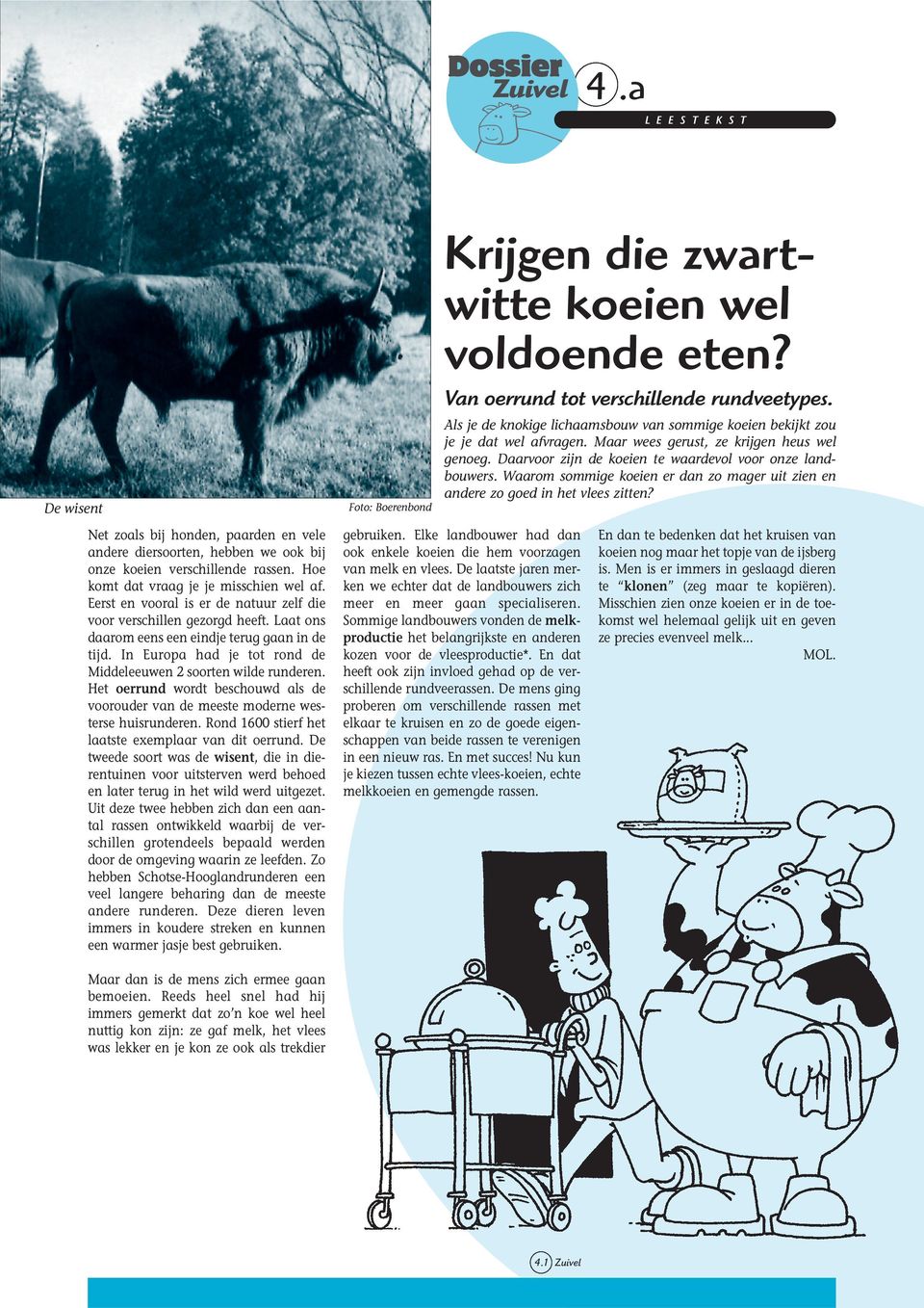 Het oerrund wordt beschouwd als de voorouder van de meeste moderne westerse huisrunderen. Rond 1600 stierf het laatste exemplaar van dit oerrund.